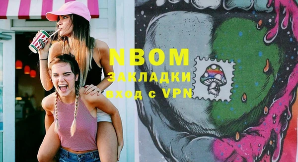 шишки Алзамай