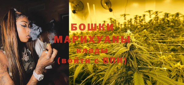 шишки Алзамай