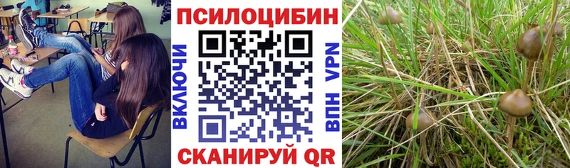Псилоцибиновые грибы мухоморы  что такое   Зарайск 